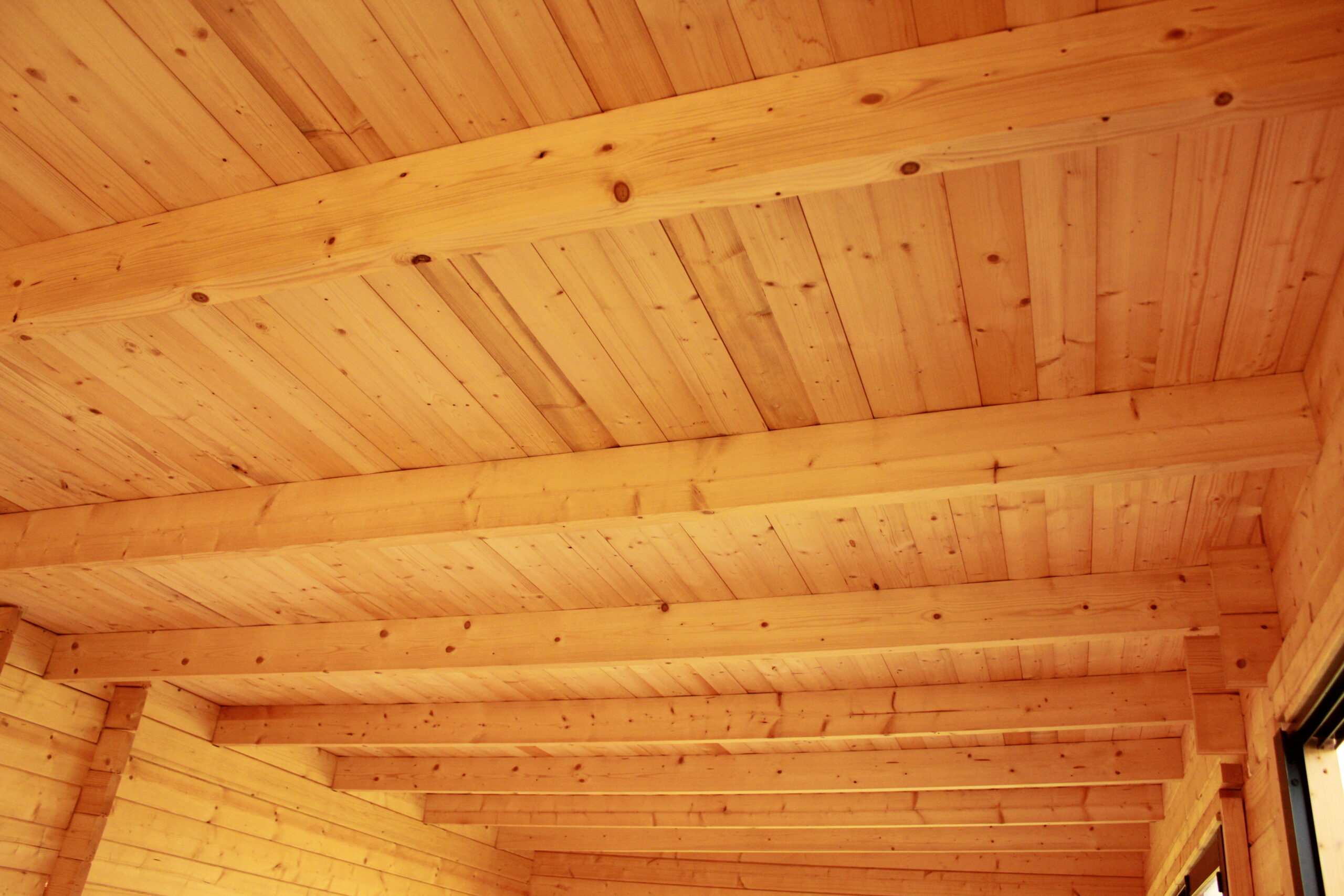 Amalie Premium - Image 8